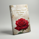 O Primeiro Encontro Pós-Término Perfeito